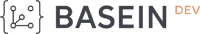 basein.dev logo